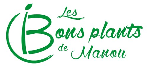 Les Bons Plants De Manou